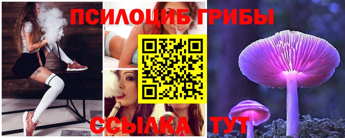 Псилоцибиновые грибы Psilocybe Котовск