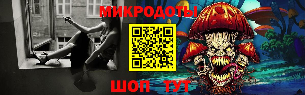 Котовск  Псилоцибиновые грибы прущие грибы  Вход с VPN 